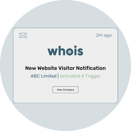 Identify real-time website visitors